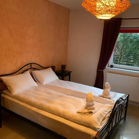 Dorf Haus Penzion Văliug